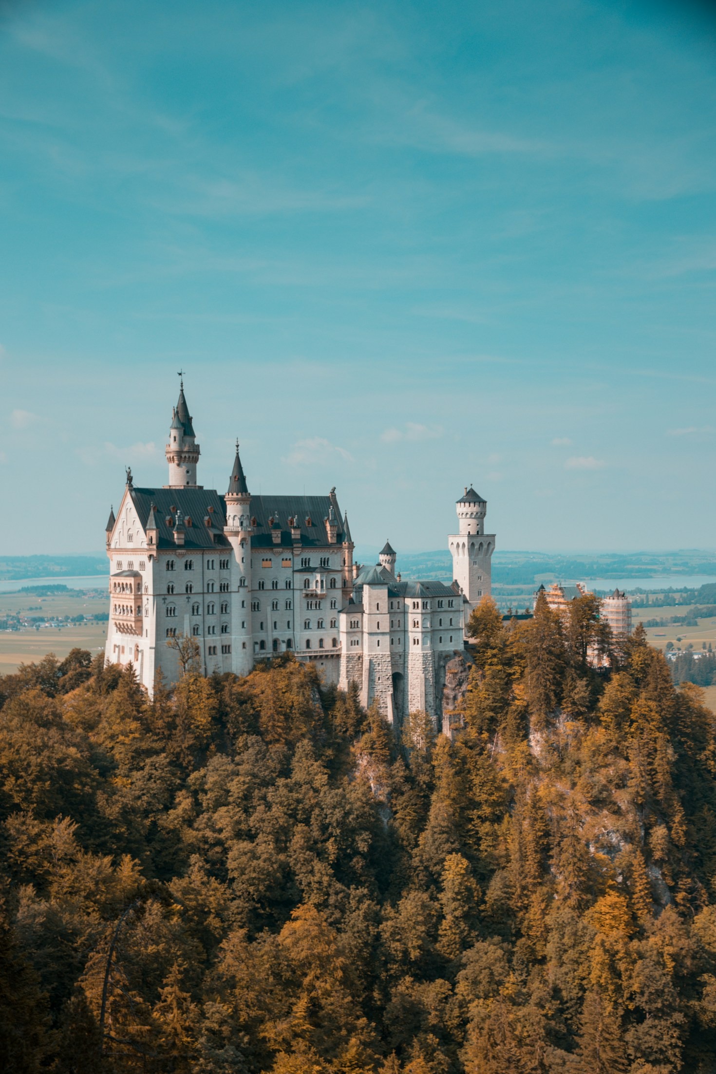 Navigating the German Workplace Culture